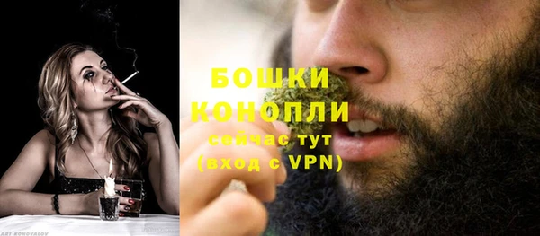 шишки Бородино