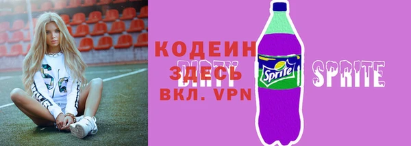 шишки Бородино