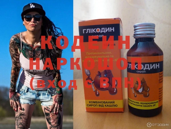 шишки Бородино