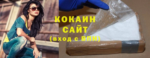 шишки Бородино